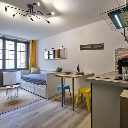 Chez Juliette - Appart & Studios Avec Climatisation - Carcassonne Centre 아파트