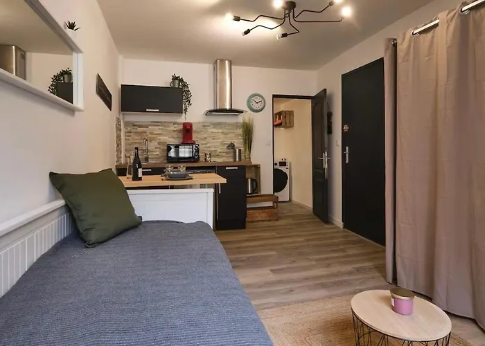 아파트 Chez Juliette - Appart & Studios Avec Climatisation - Carcassonne Centre